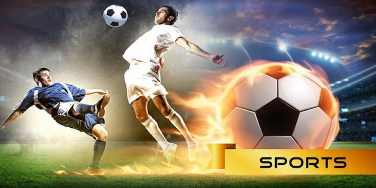 9r bet Descubra o vibrante mundo dos esportes online em